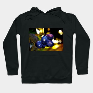 New year's Eve in the Garden Hoodie